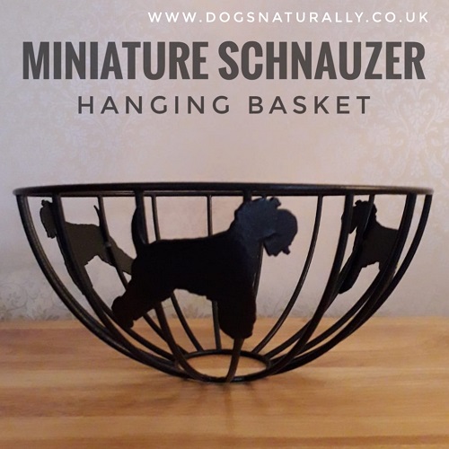 Miniature Schnauzer Basket 